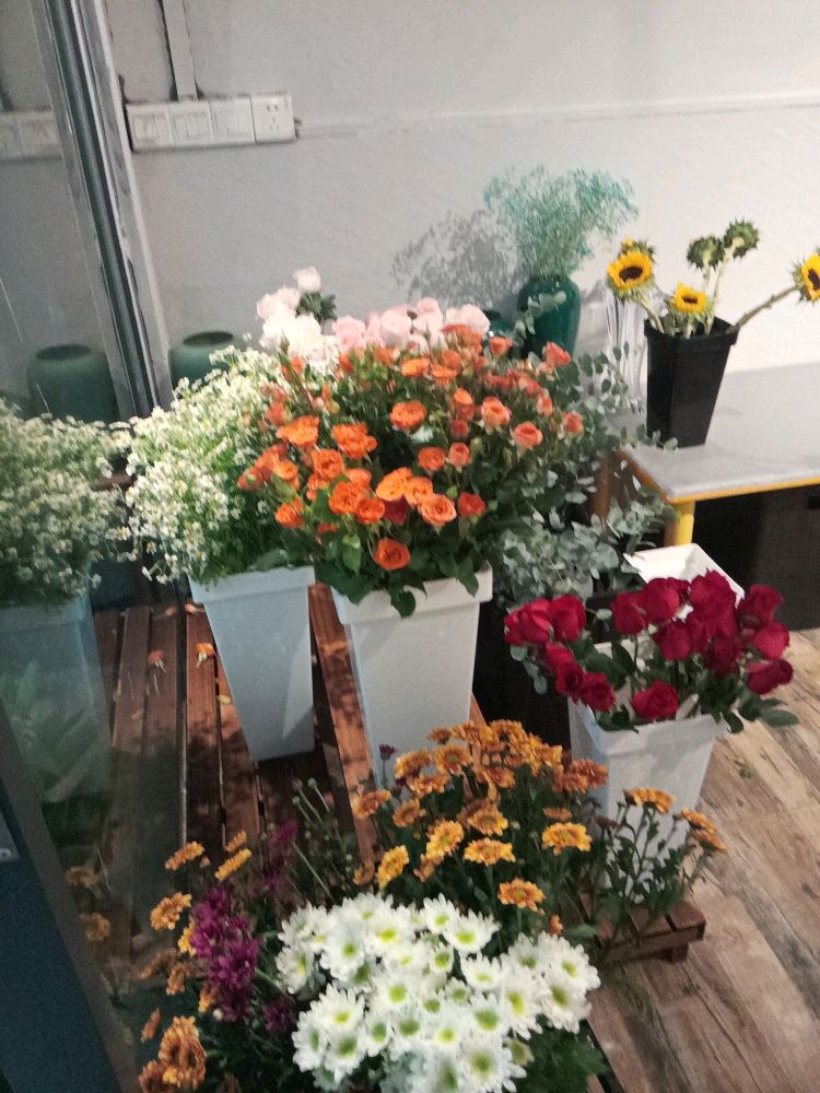 百合云苑鲜花