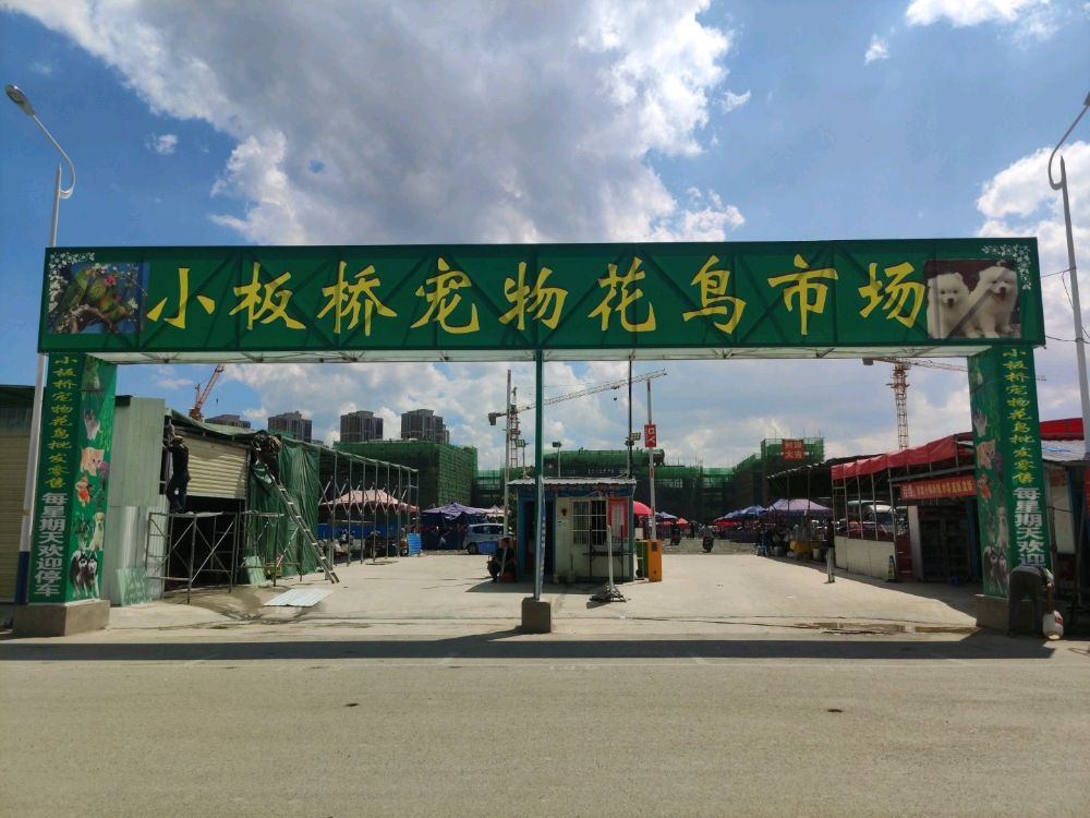 昆明猫狗宠物市场名单大全，最全花鸟市场地址整理