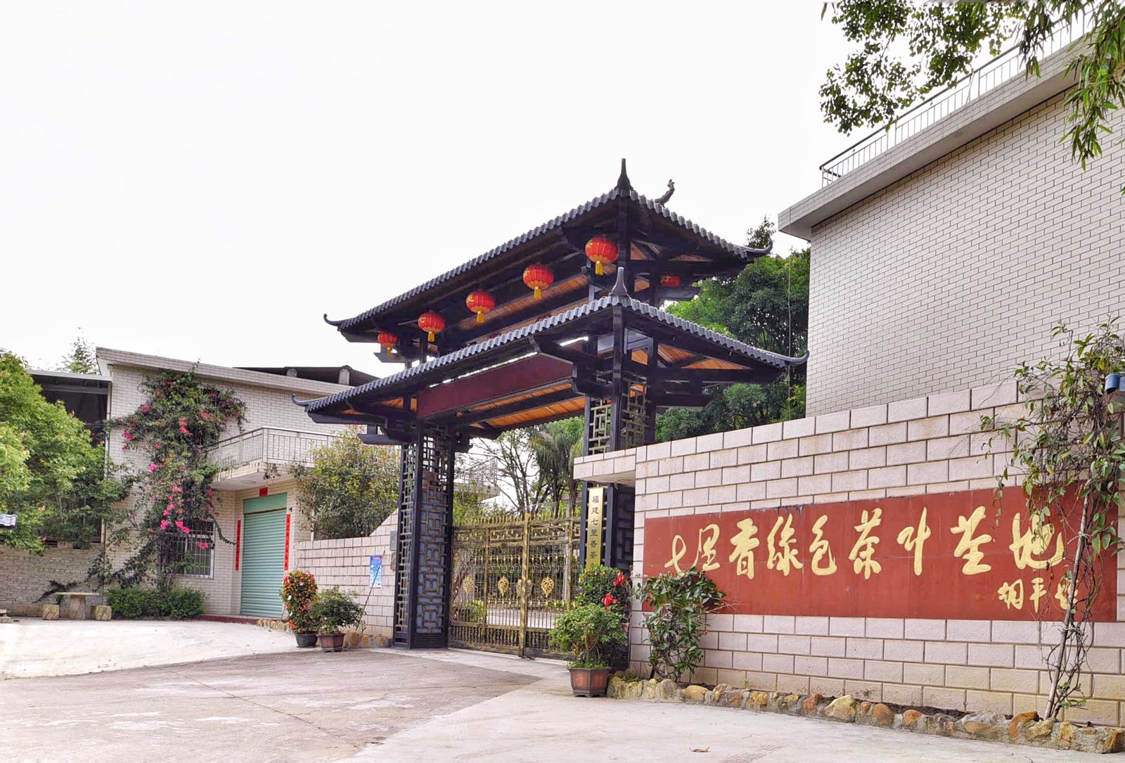 七里香绿色茶业基地