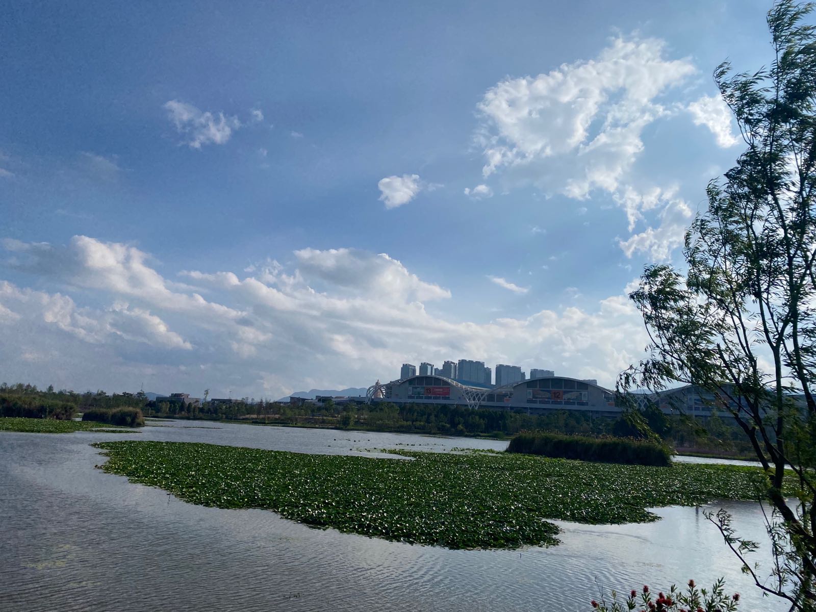 官渡五甲塘湿地公园