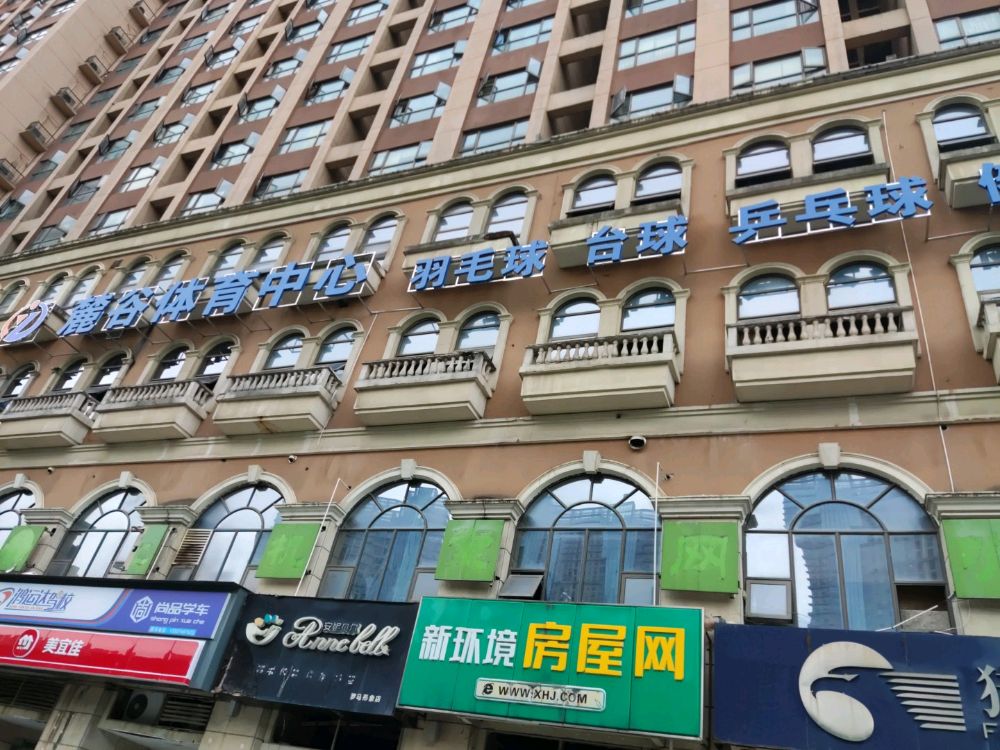 麓谷体育中心羽毛球馆