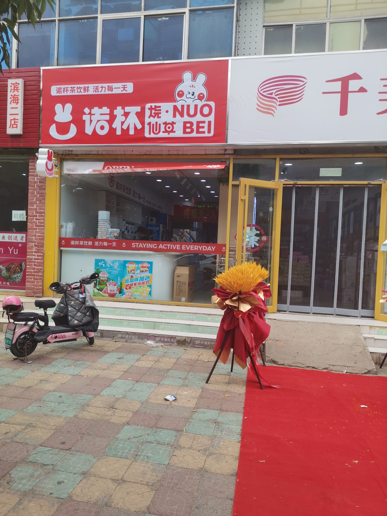 诺杯仙草草(海化店)