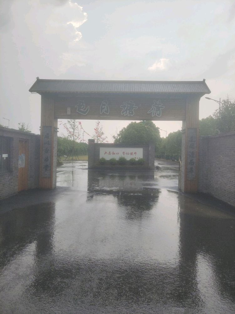 荷塘月色