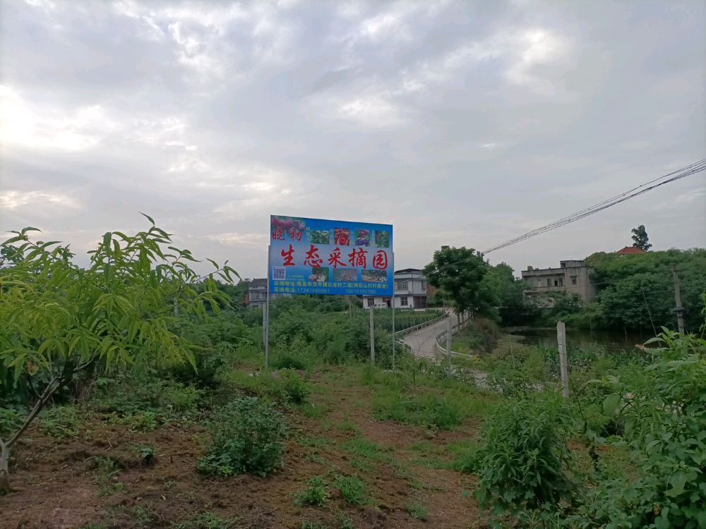 晓初果园