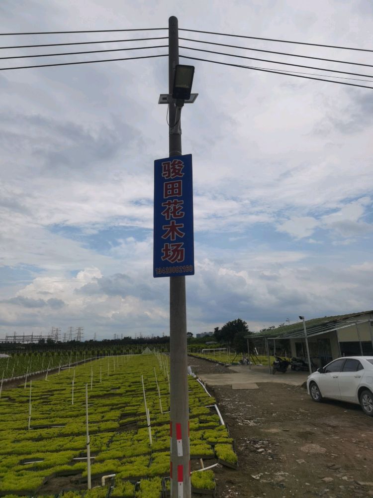 骏田花木场