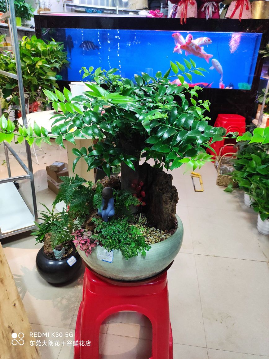 大朗花千谷鲜花店