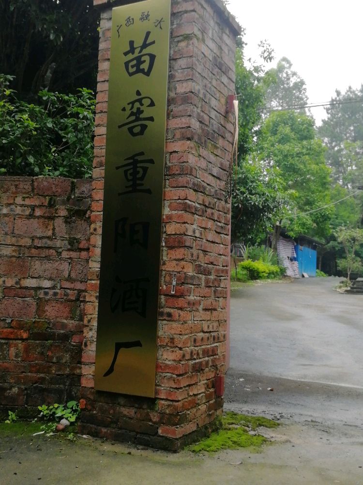 广西融水苗窖重阳酒厂