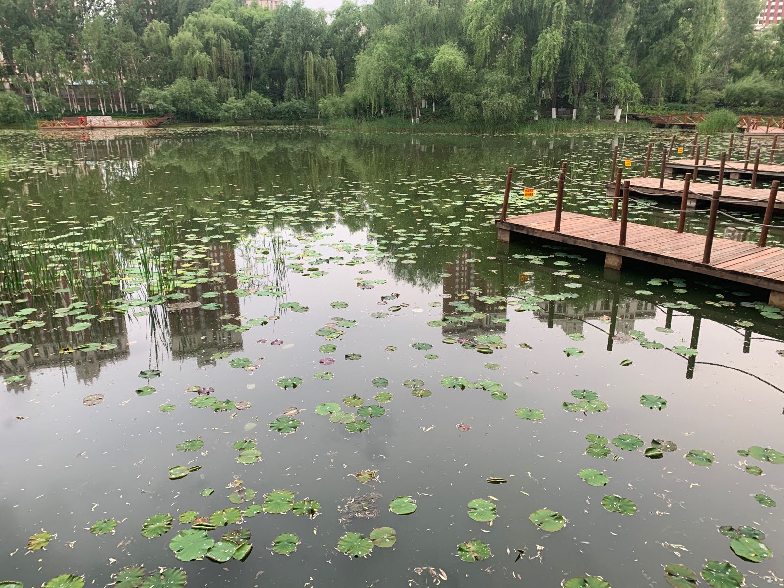 雨阳公园