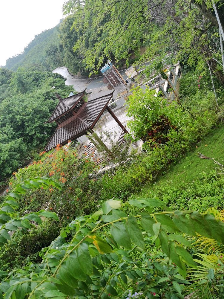 琼中热带花果南药园