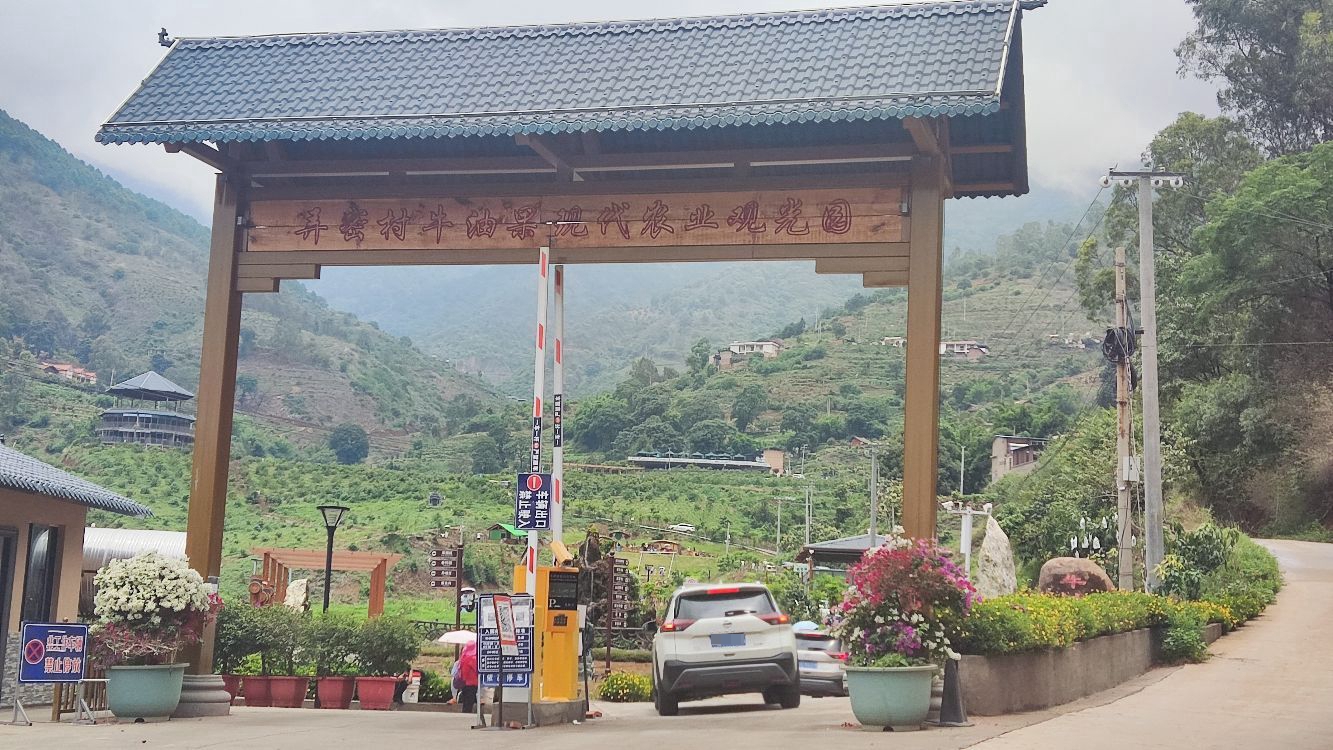 牛油果山庄