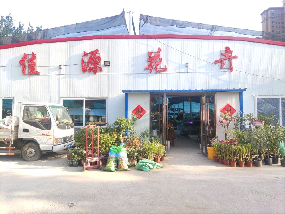 佳源花卉