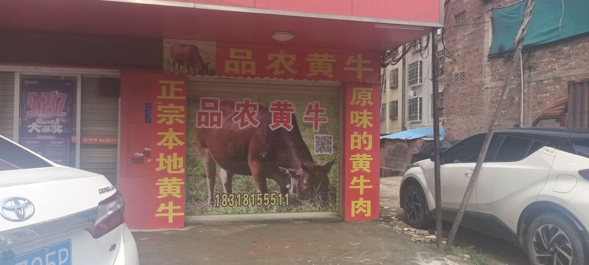 品农黄牛