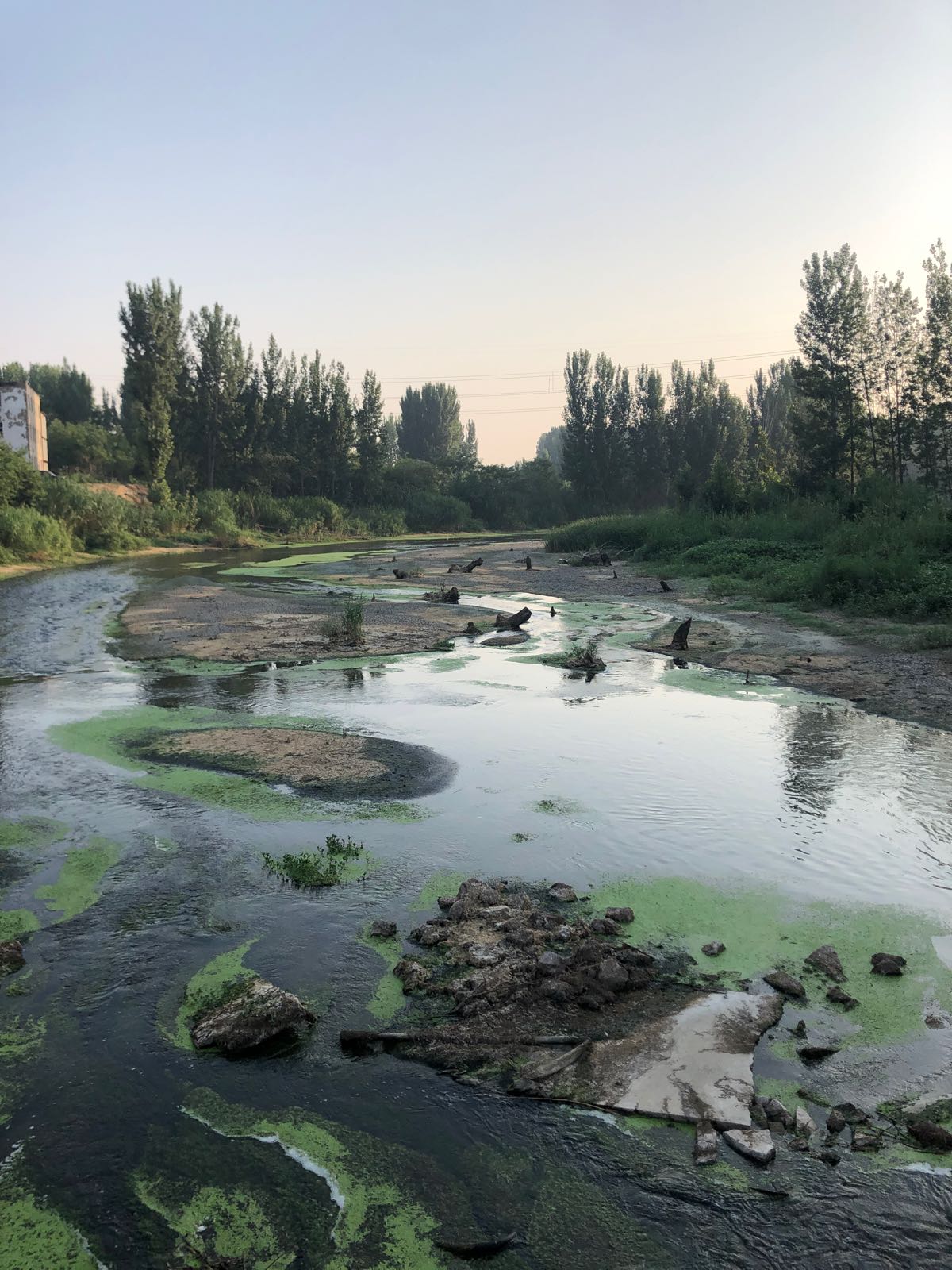 潮河湿地公园