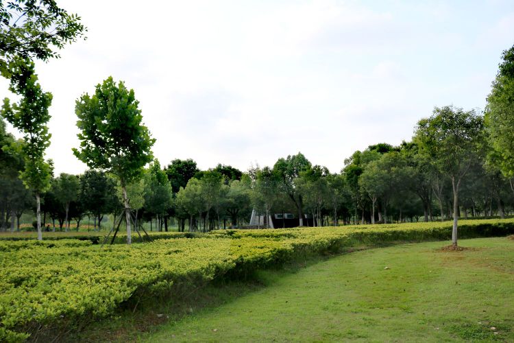 北太子湖公园