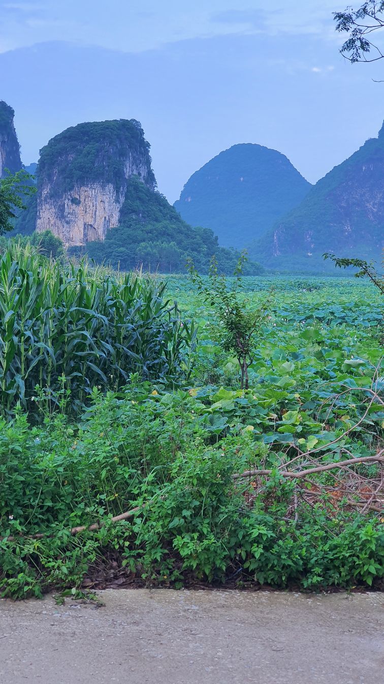 下屯伦景区