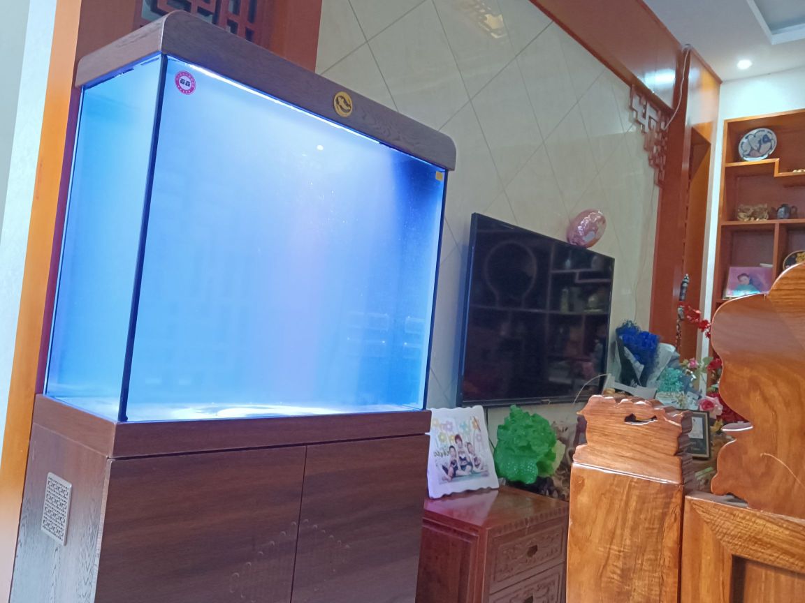 sen森水族(伏羲大道店)
