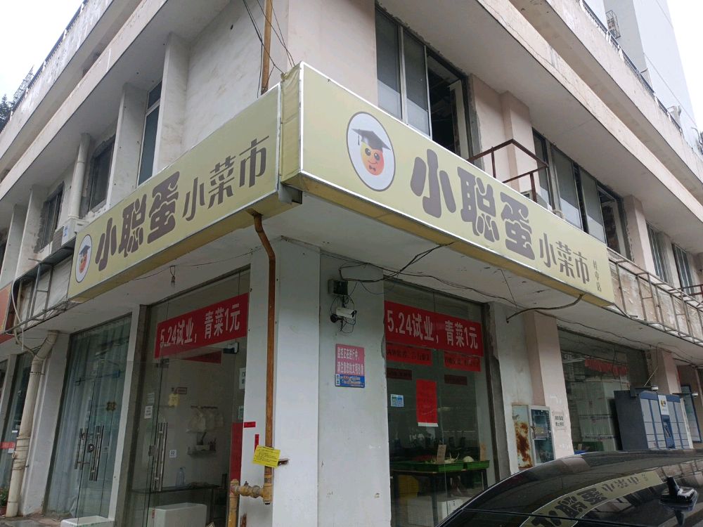 小聪蛋小菜市