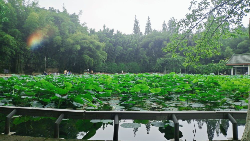 碧津游乐园