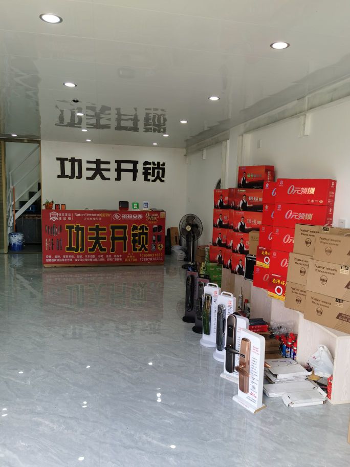 功夫开锁指纹人脸智能锁汽车钥匙智能卡(南堤店)