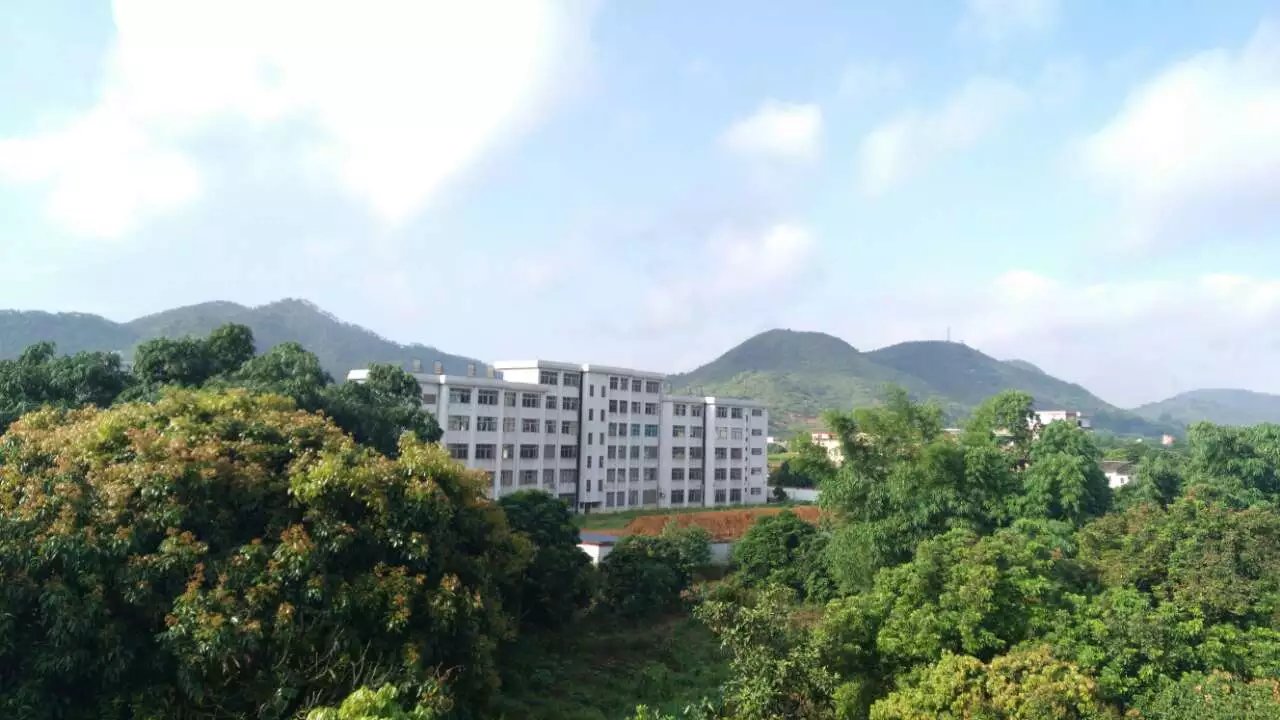 瓦窑岗