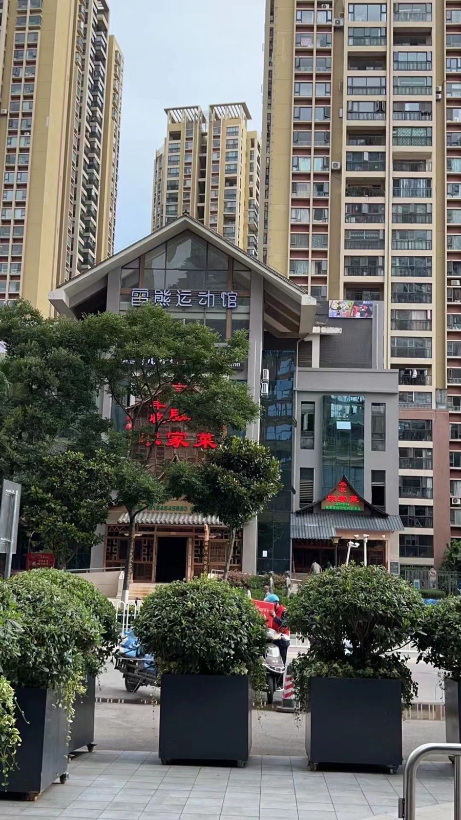 雷熊运动管