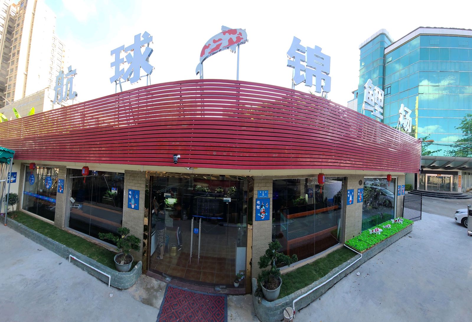 航球锦鲤水族