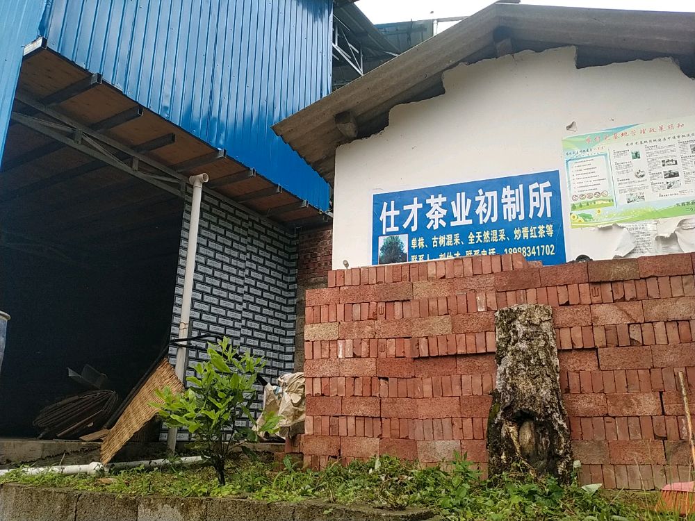 白莹山仕才茶叶初制所