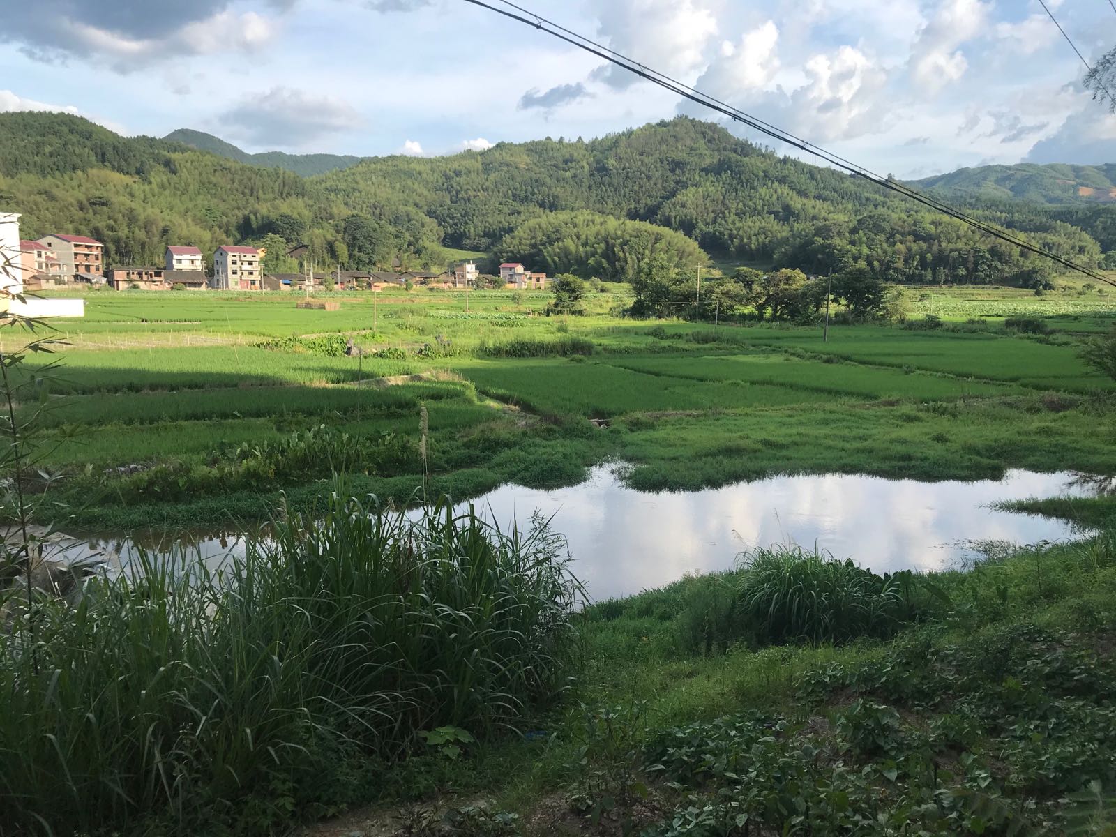 福建南平青叶轩茶叶加工有限公司