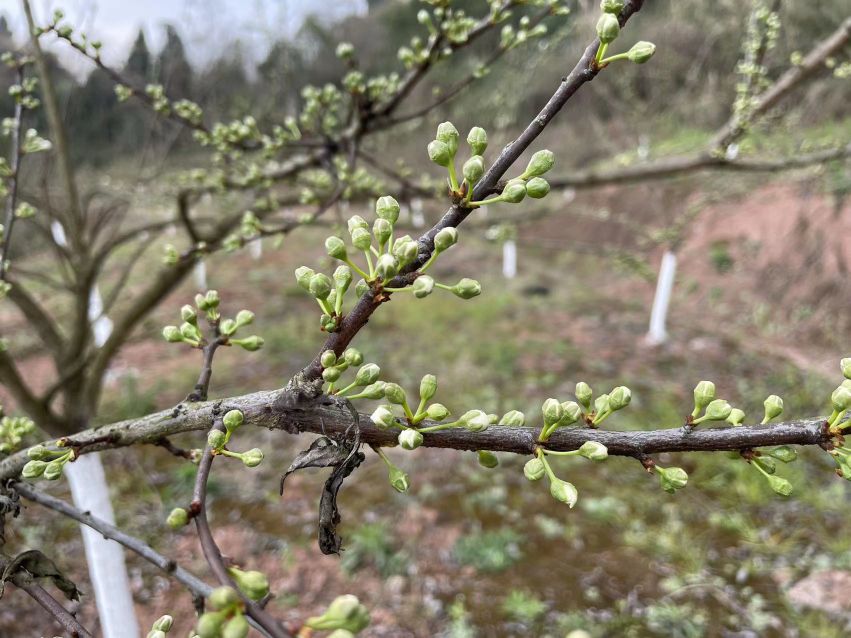 陇上行休闲农场