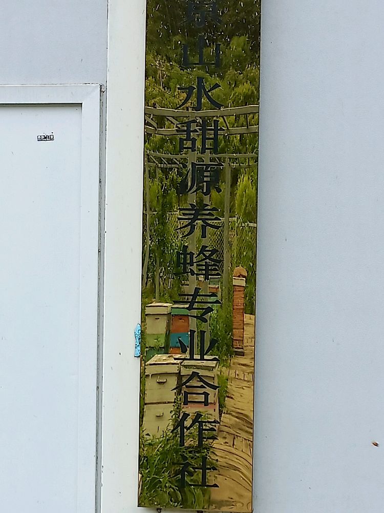 北金山水甜源养蜂场