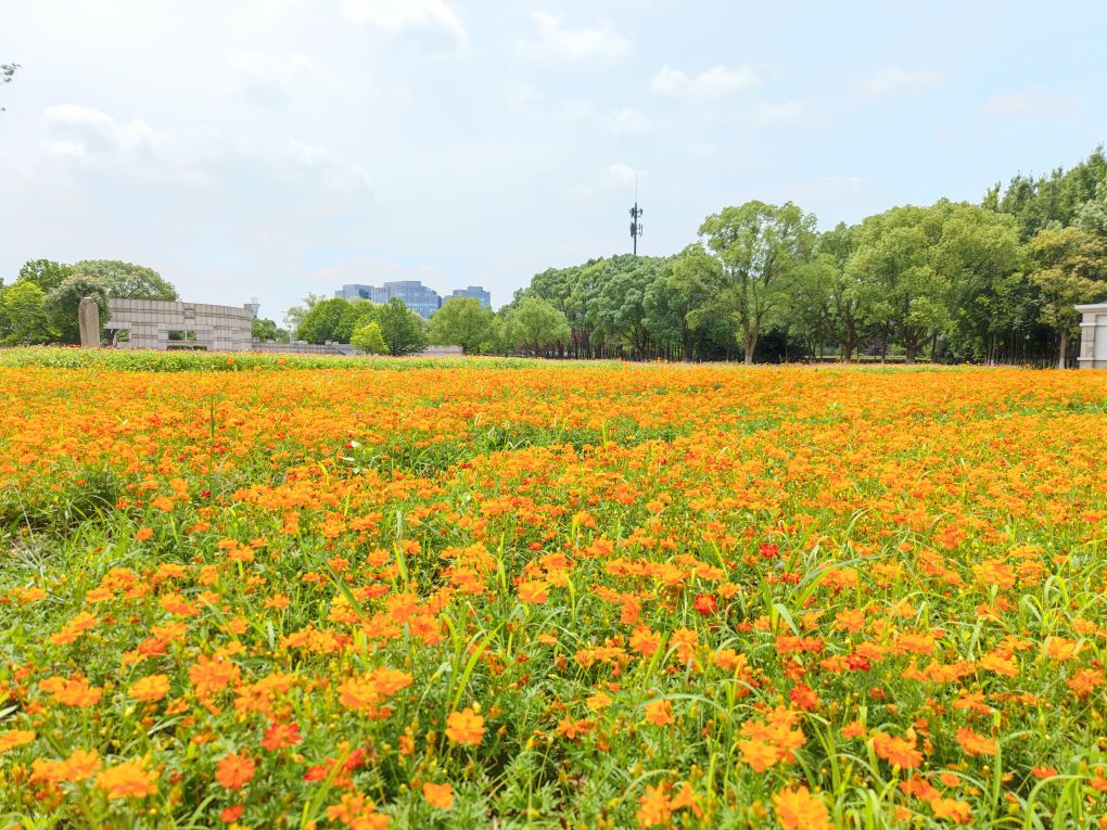 嘉兴南湖市民广场