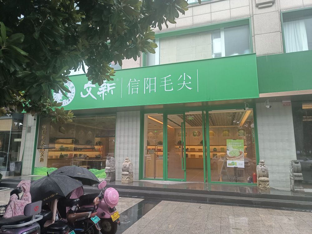 文新信阳毛尖茶叶(龙腾盛世北)