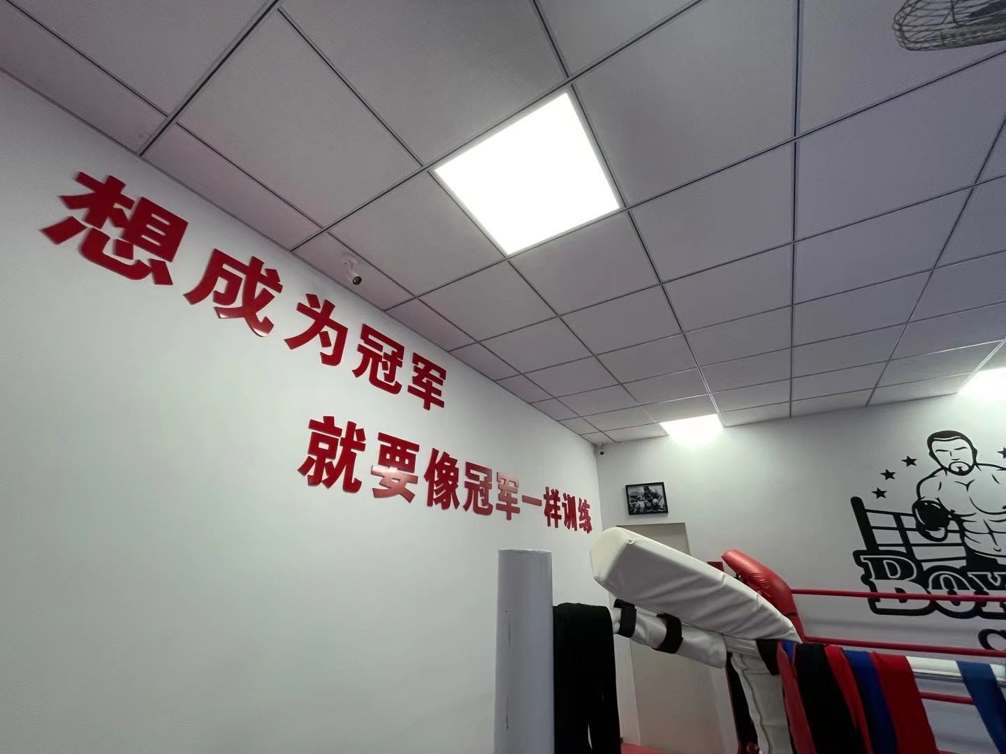 一拳搏击