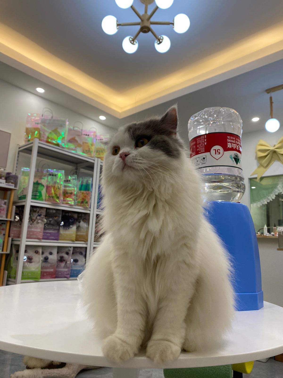 喜乐宠物(骏景园店)