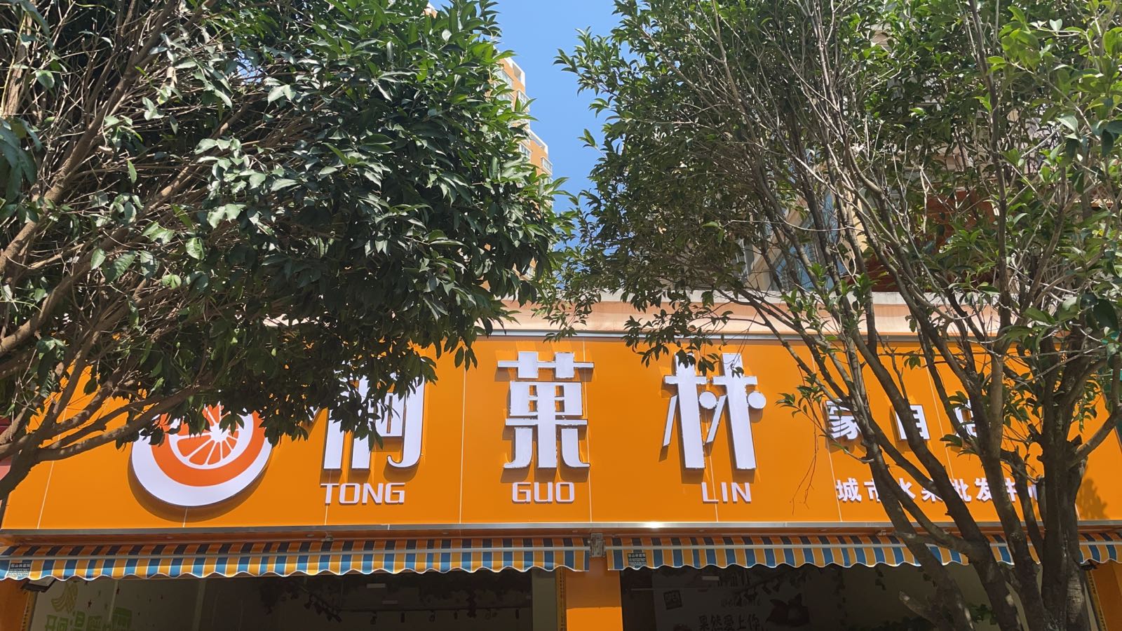 桐菓林城市水果批发中心(蒙自店)