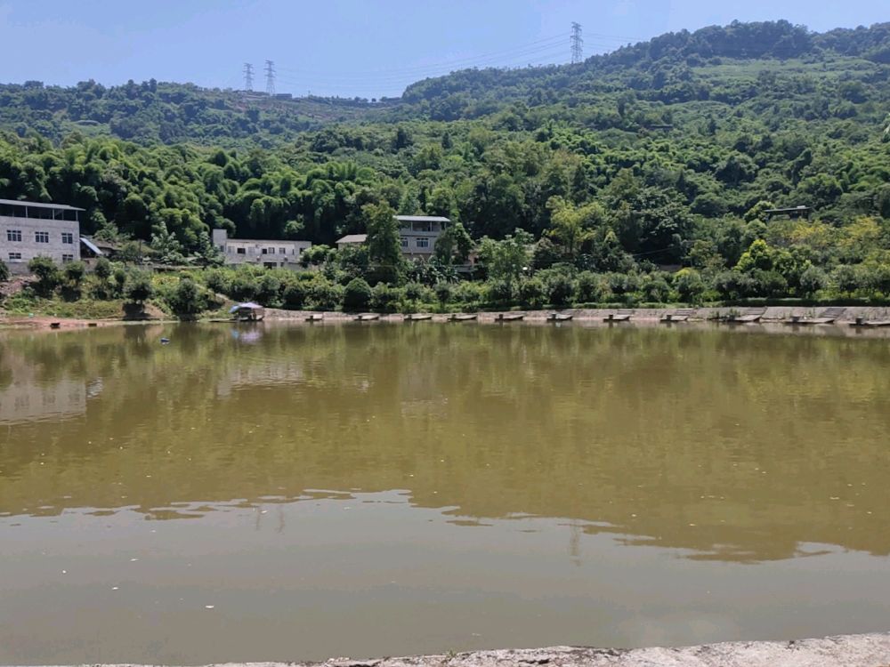 龙凤钓场