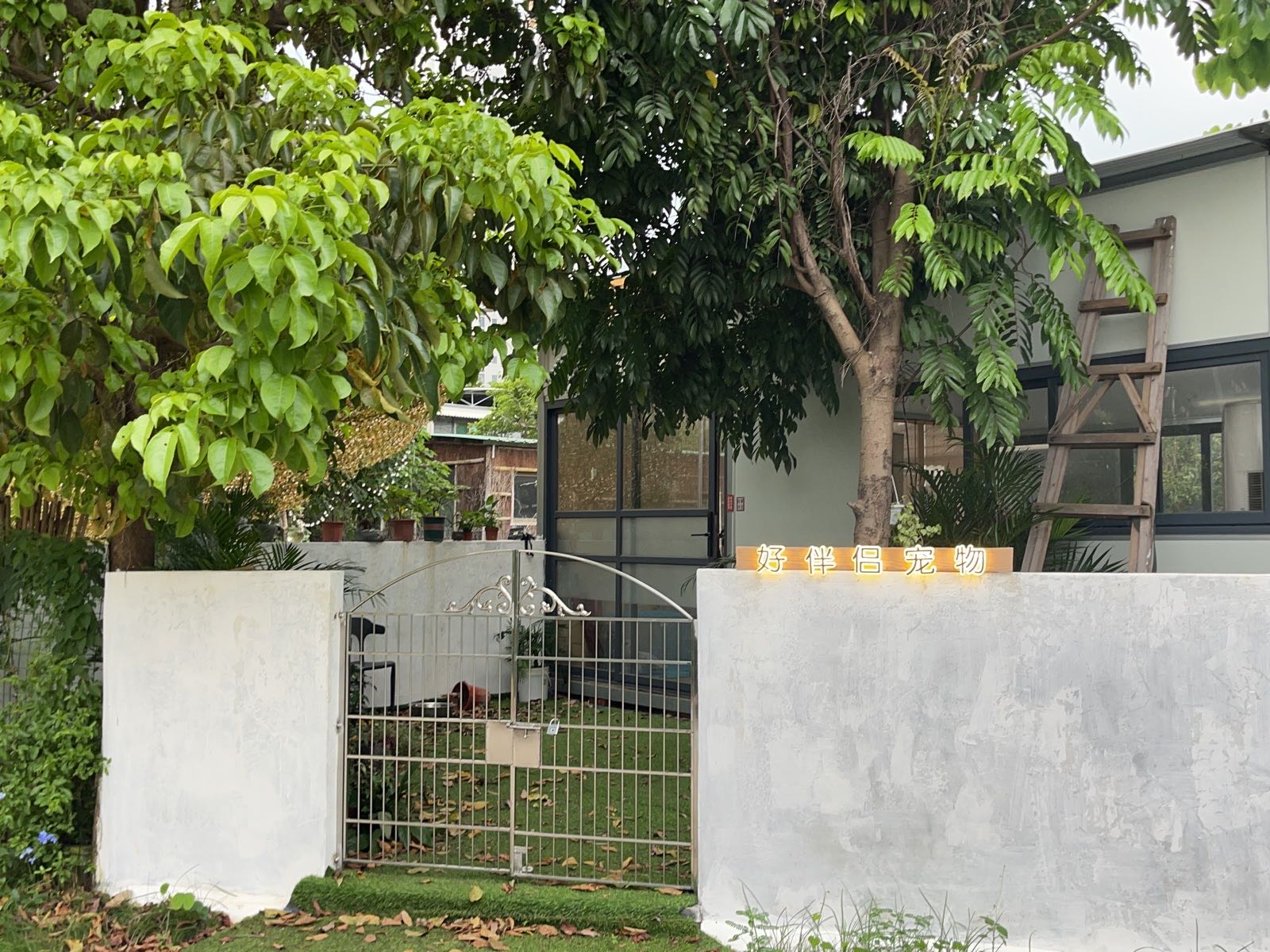 好伴侣宠物训练学校