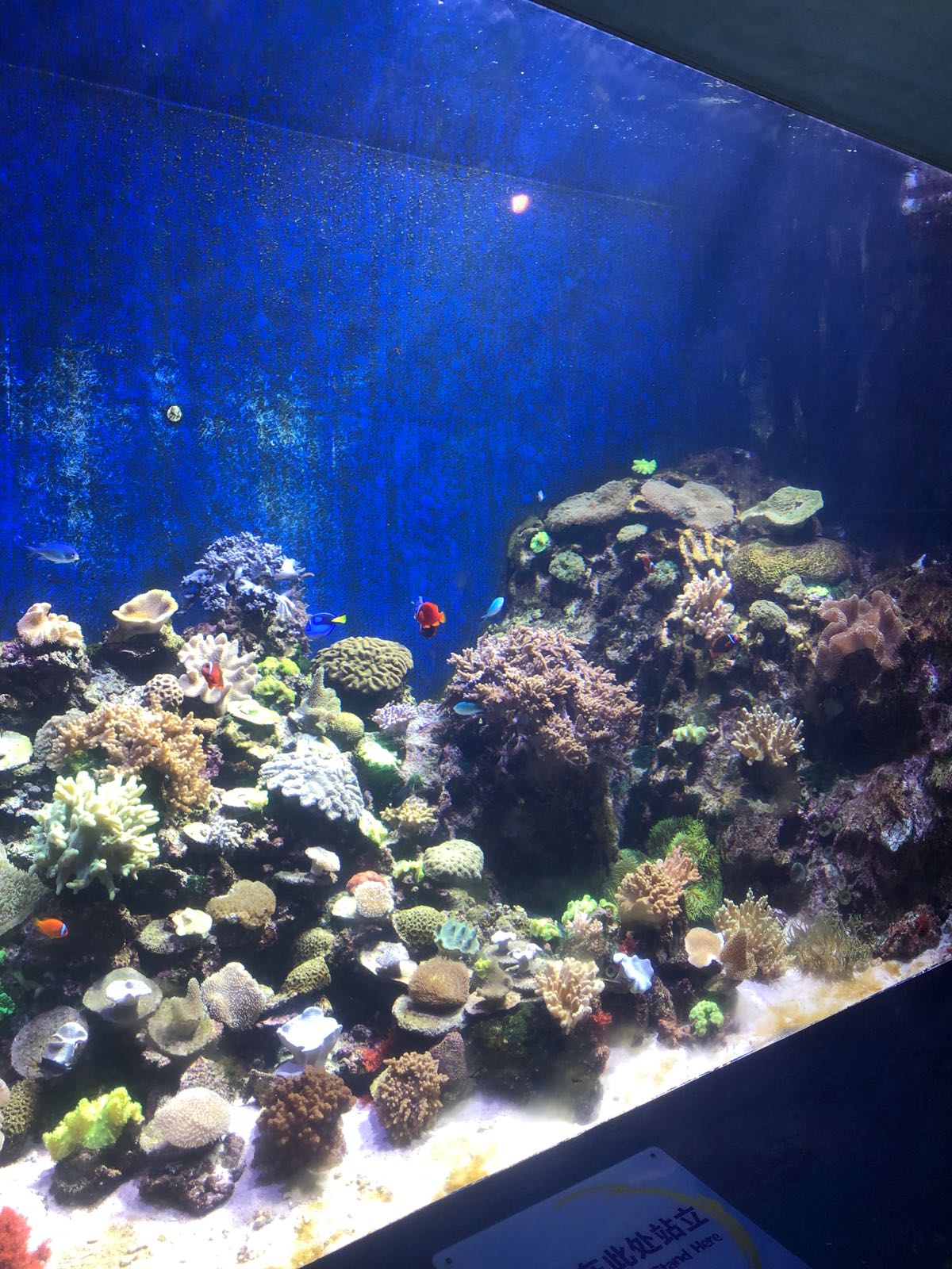 珠海长隆海洋王国-海豚湾