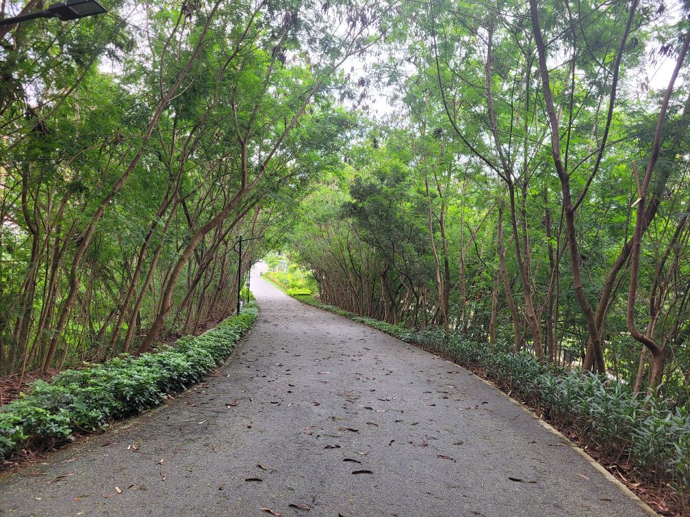 凤凰山国家矿山公园博物馆