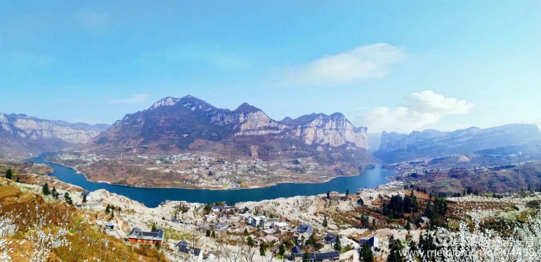 包河万亩樱桃园