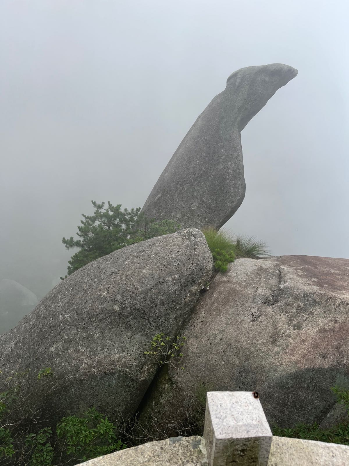 蓬莱仙