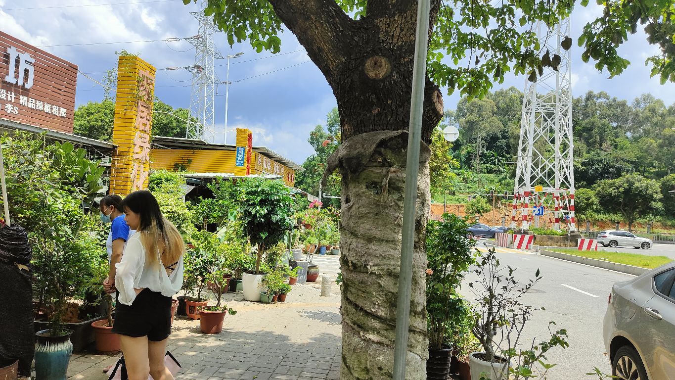 别找了!东莞花鸟市场信息来了，这8家别错过