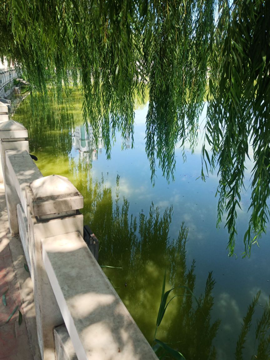 瀛海公园