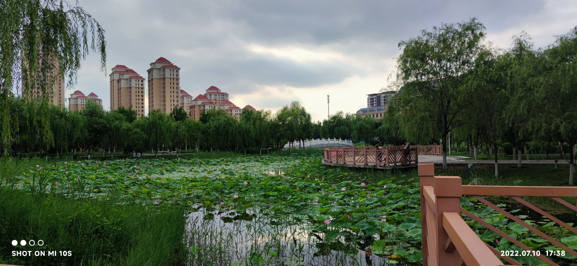 双青公园