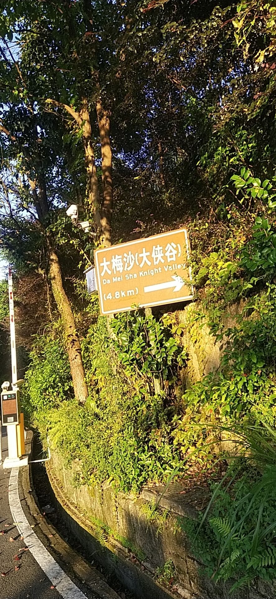 东部华侨城-1号观景台