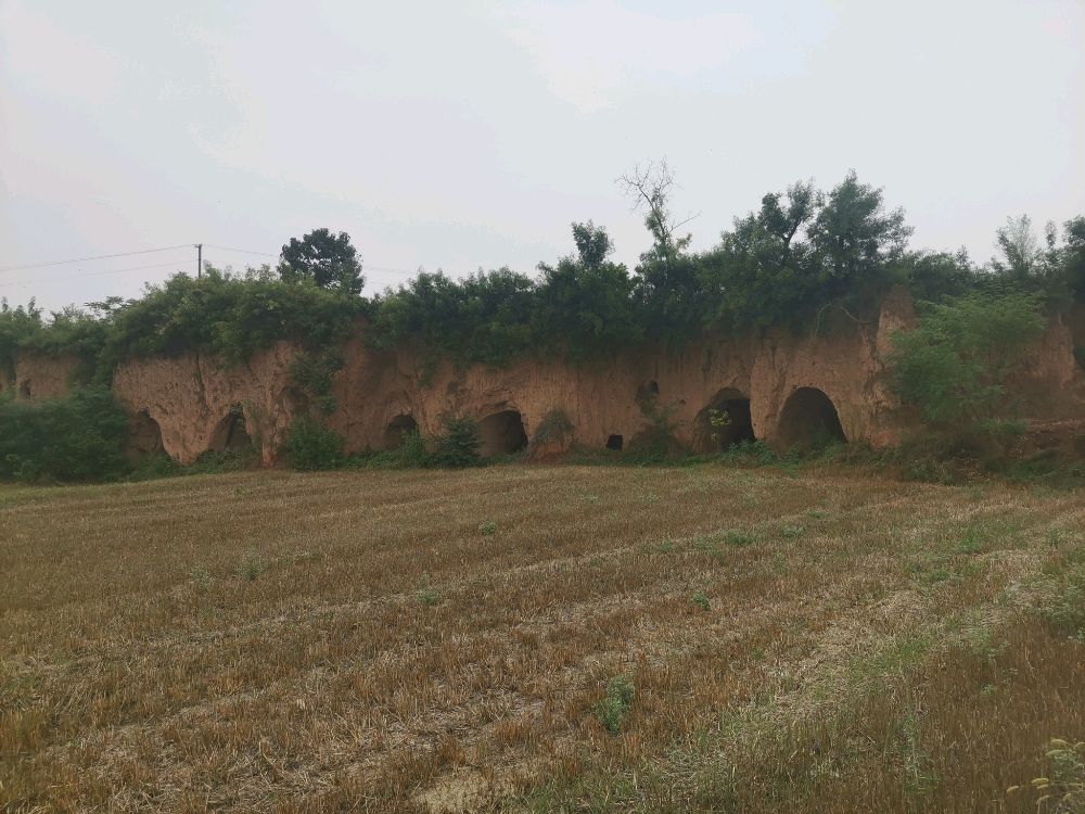 腰子村刘坡窑洞遗址