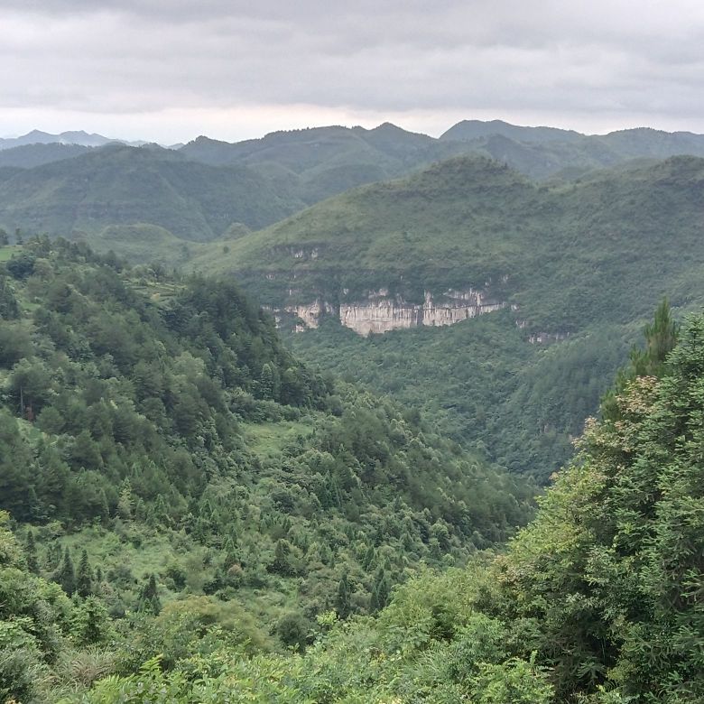 高坡观景台