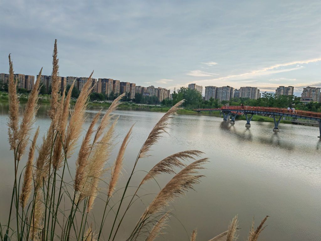 红石涵养湿地