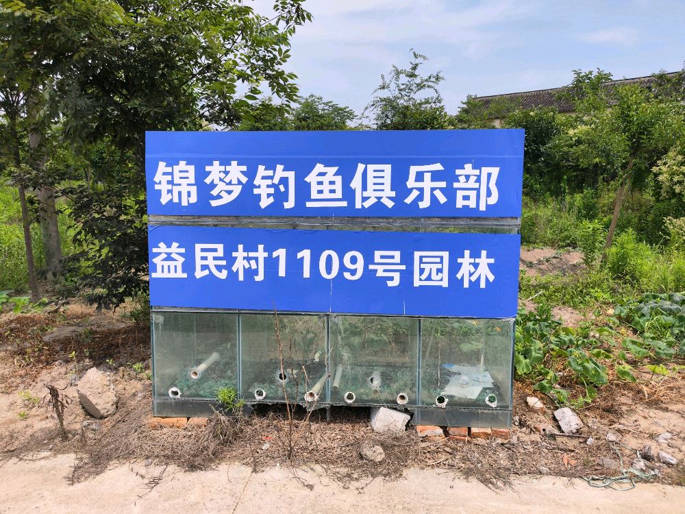 锦梦垂钓中心爆护钓场