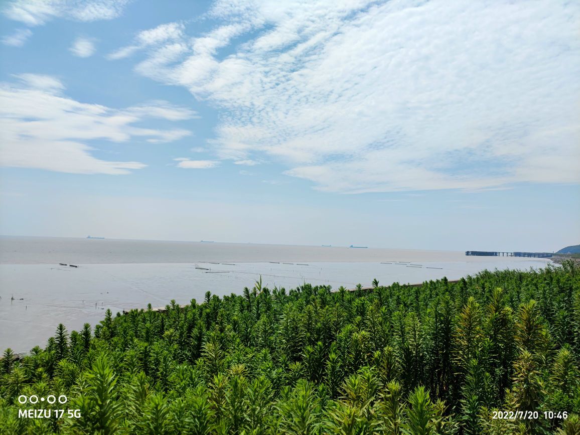 九龙山东大门观景台